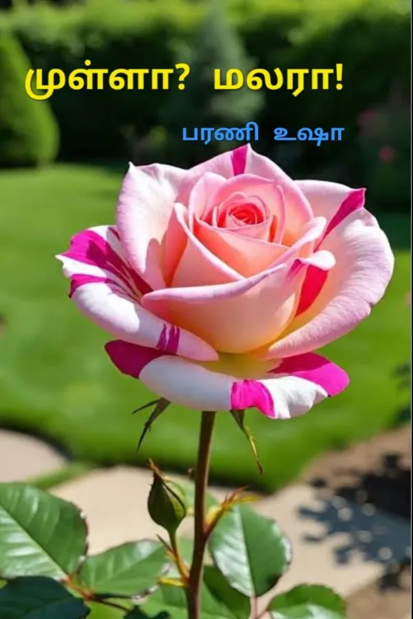 முள்ளா? மலரா!