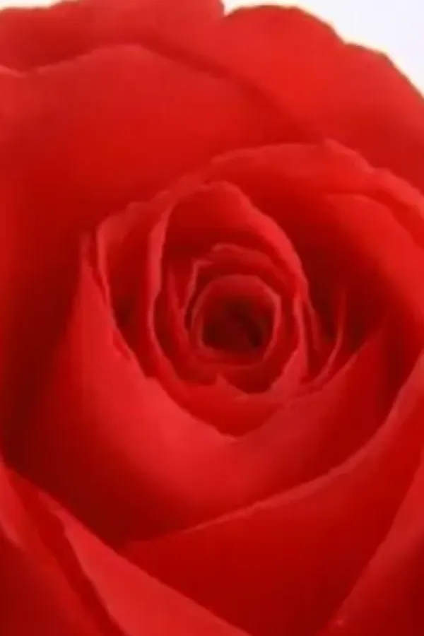 விலகி போ