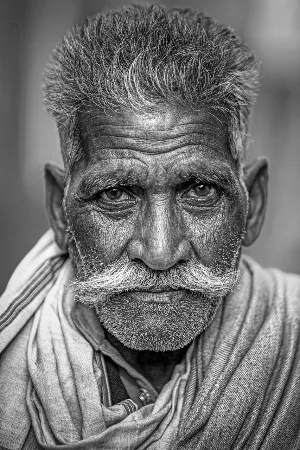 மனிதர்கள் வாழ்கிறார்கள்