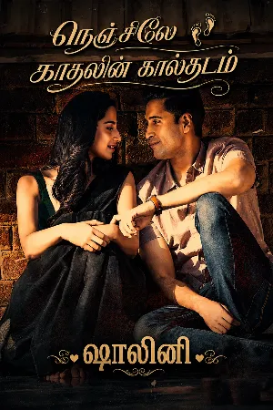 நெஞ்சிலே காதலின் கால்தடம் - On going